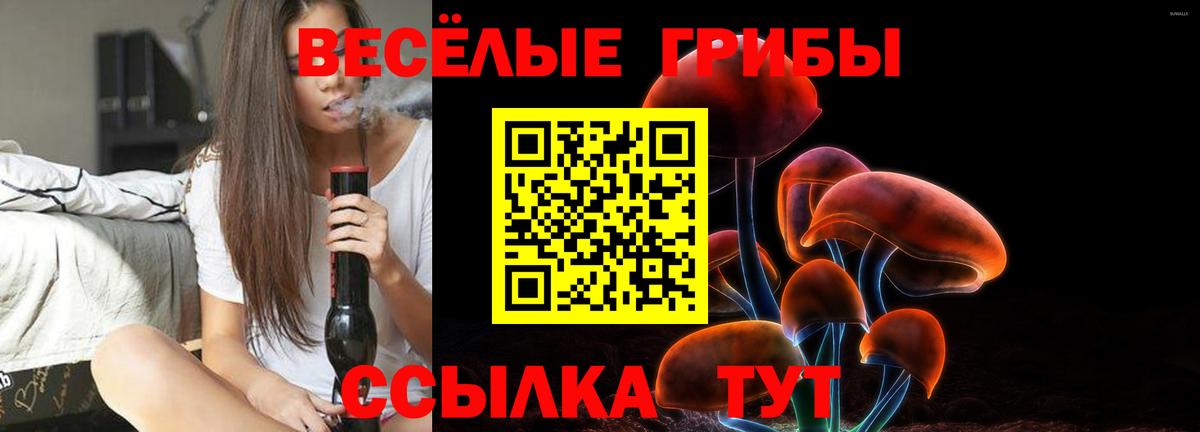 Псилоцибиновые грибы прущие грибы Саянск